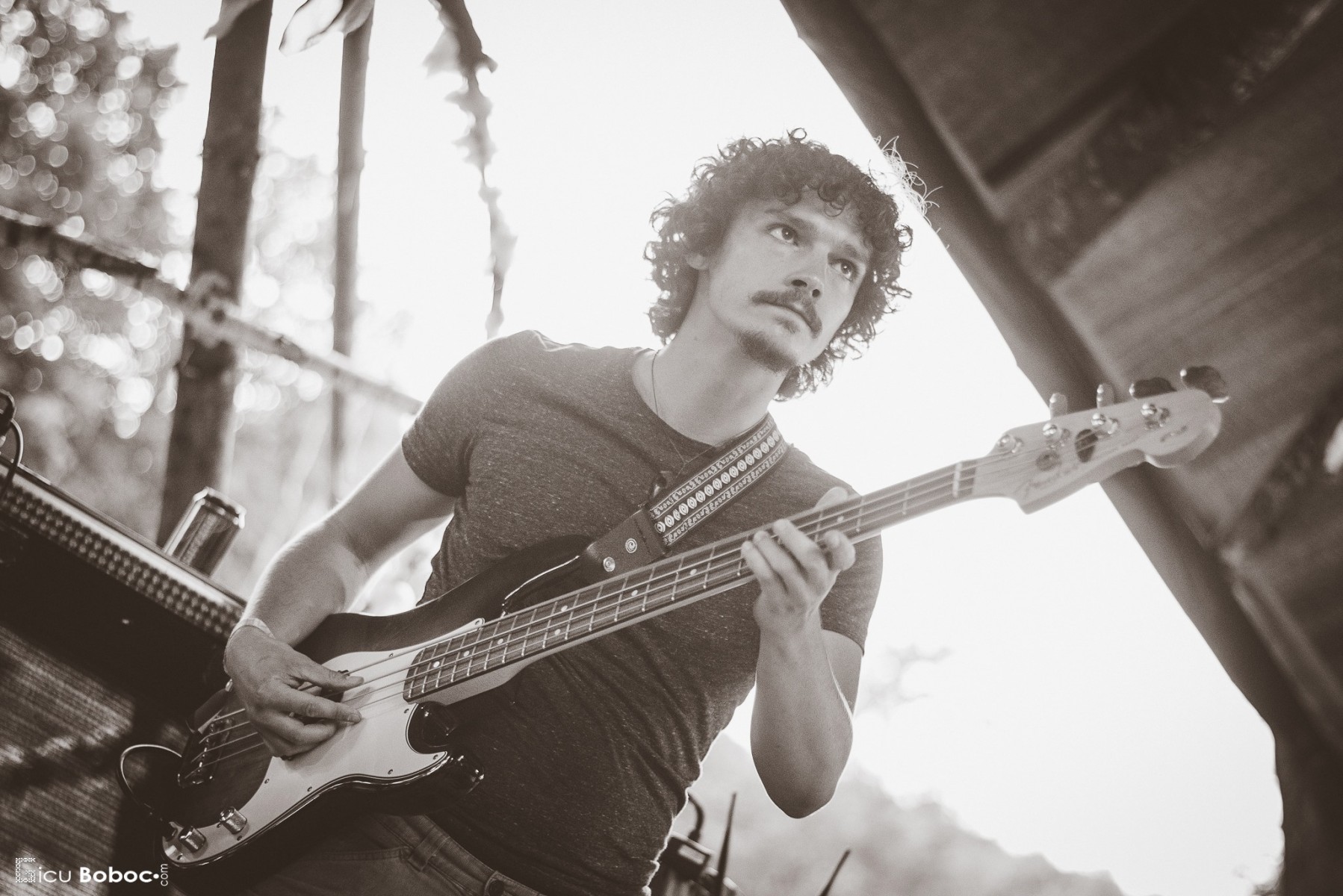 Michael Acker - Professional Bass Player